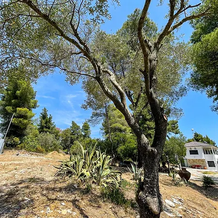 Villa Aspioti Vourvourou