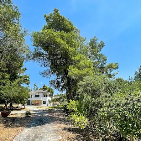 Aspioti Villa Vourvourou
