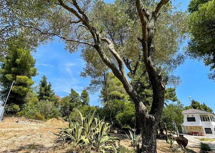 Villa Aspioti Vourvourou