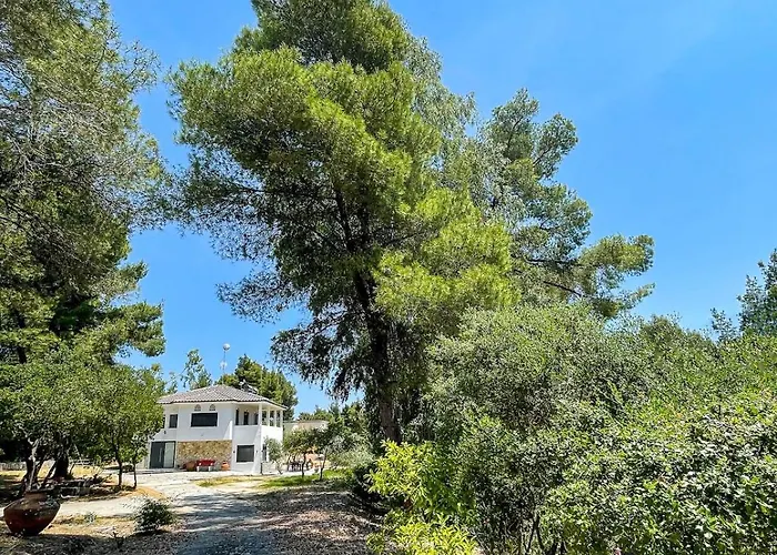 Aspioti Villa Vourvourou